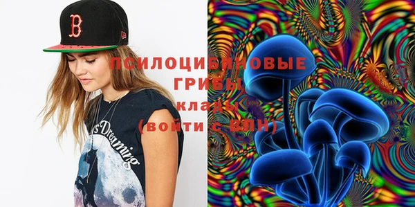стафф Алексеевка