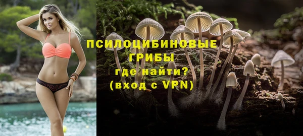 бутират Алзамай