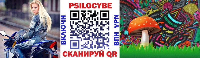 наркотики  Мамадыш  Псилоцибиновые грибы прущие грибы 